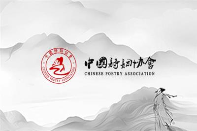 协会会长（主席）：支建兵