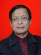 会员金加坦